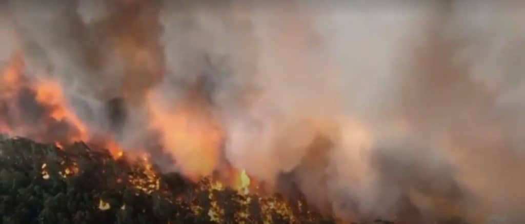 Israëlische techneuten brainstormen over aanpak bosbranden in Australië