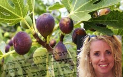 Onder de vijgenboom: uitzendingen deze week ivm Yom Kippur