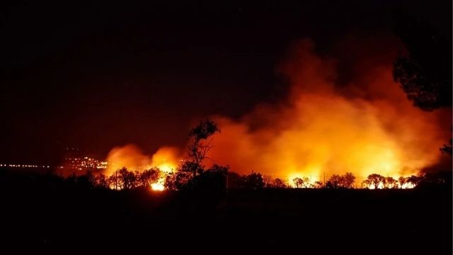 Israël stuurt hulp terwijl Cyprus bestrijdt ‘ergste bosbrand in de geschiedenis’