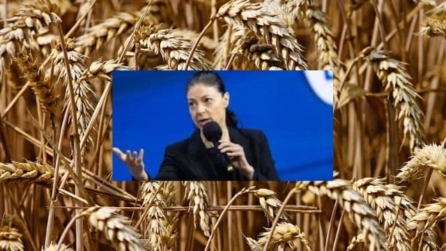 Israel luistert naar het advies van Jozef: Voorraden van tarwe voor aanstaande hongersnood
