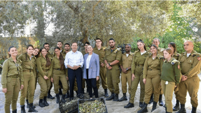 Soldaten oogsten olijven samen met de president