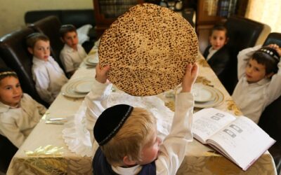 Webinar over Pesach met Studiehuis Reshiet