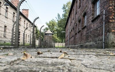 Zweeds onderwijsbureau beveelt oefening aan waarbij studenten moeten bewijzen dat de Holocaust nooit heeft plaatsgevonden