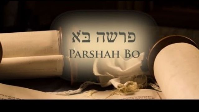 Parashat Bo, Hebreeuws voor ‘Ga!’